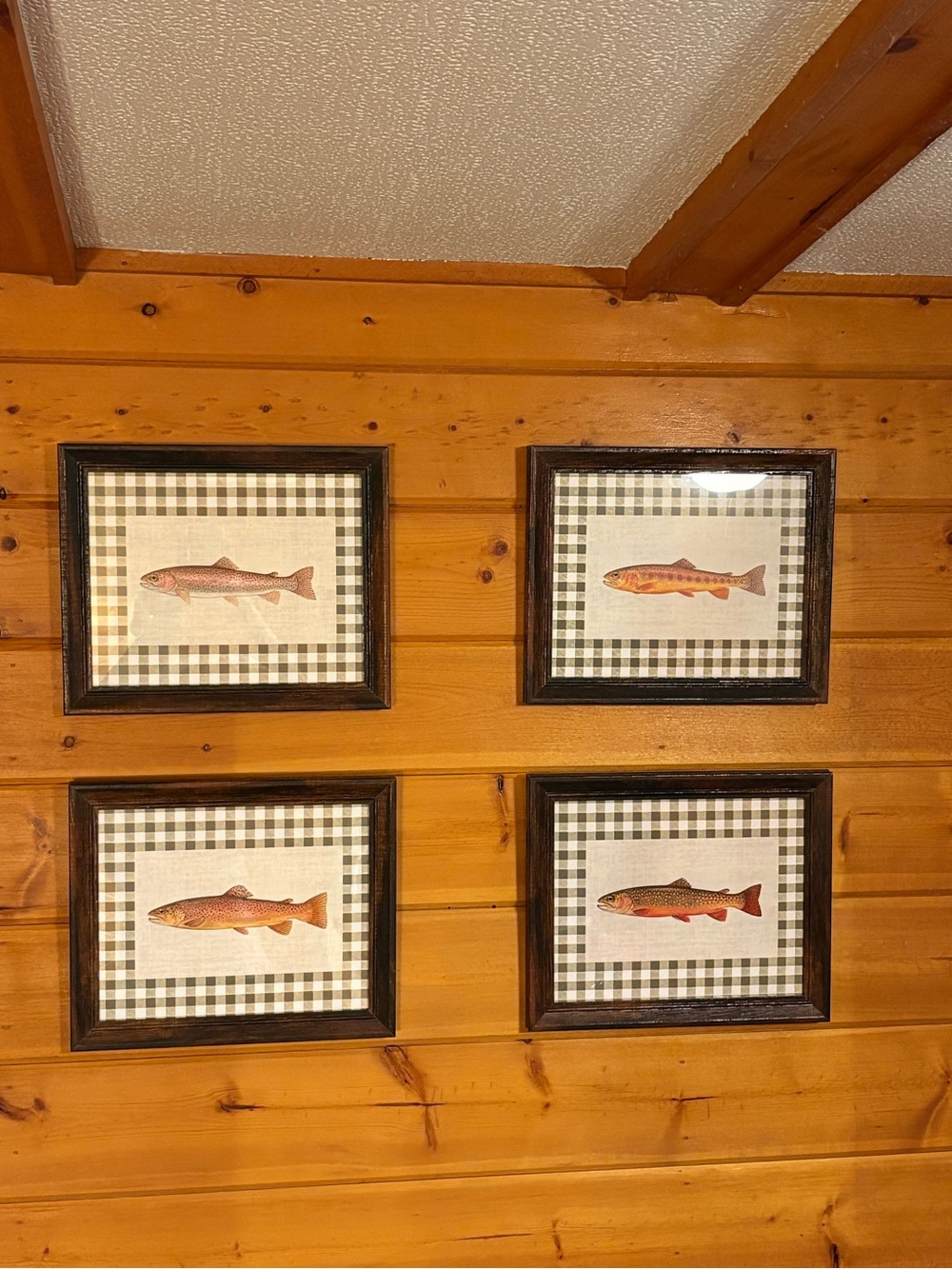 8x10 Rustic Trout Wall Decor Prints